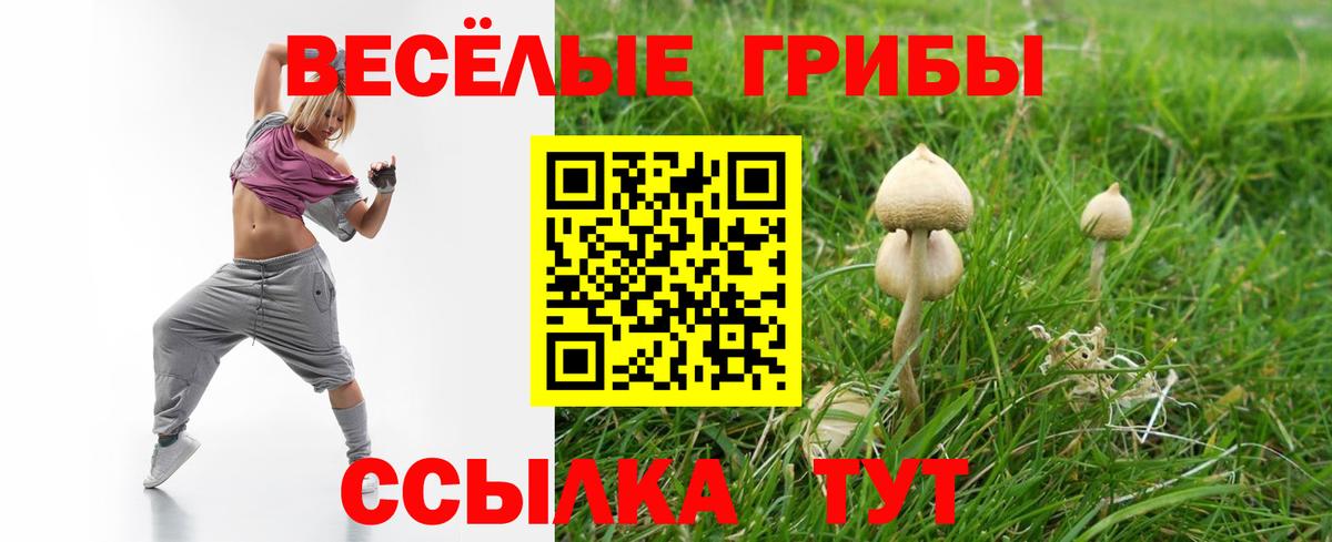 Псилоцибиновые грибы ЛСД Подольск