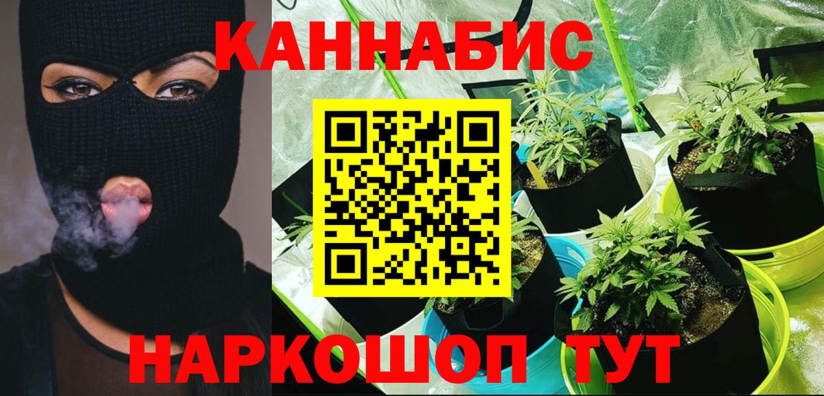Шишки марихуана White Widow Подольск